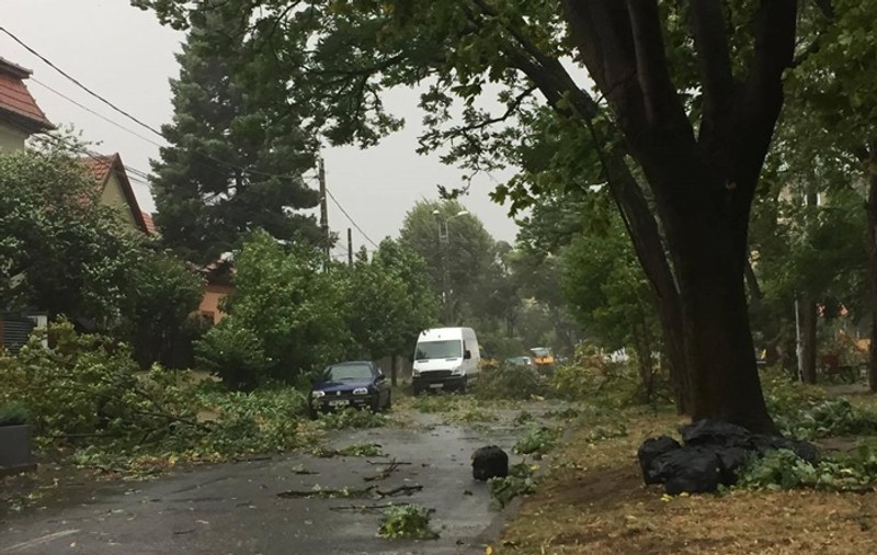 Alertă meteo: cod galben de vânt puternic în 18 județe. Harta zonelor afectate de vijelii