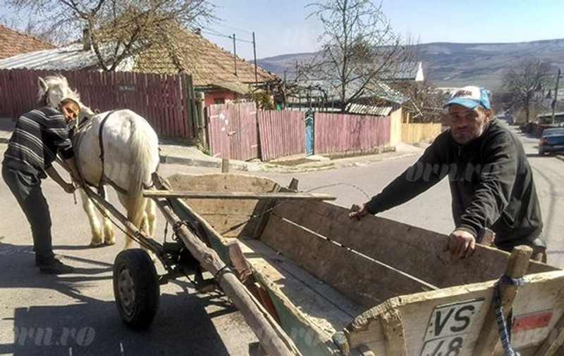 VIDEO / Șcene șocante în județul Iași. Mai mulți indivizi au bătut un cal cu o cruce de fier