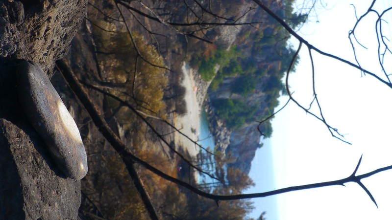 Arhiva foto