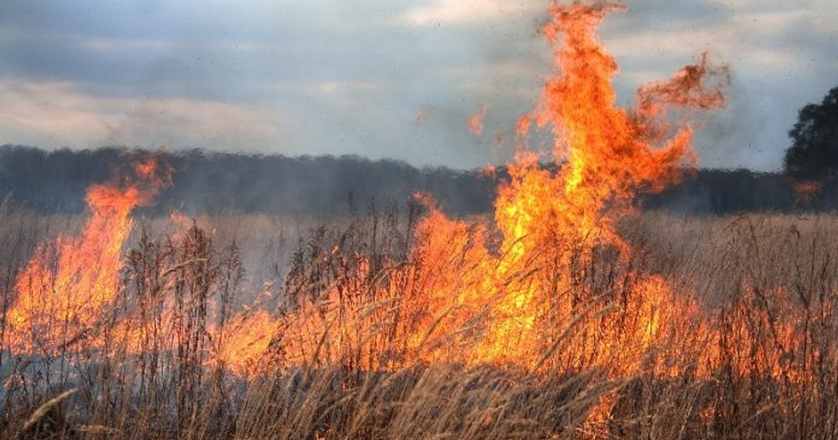 Un bărbat din Vrancea a murit din pricina unui incendiu de vegetație