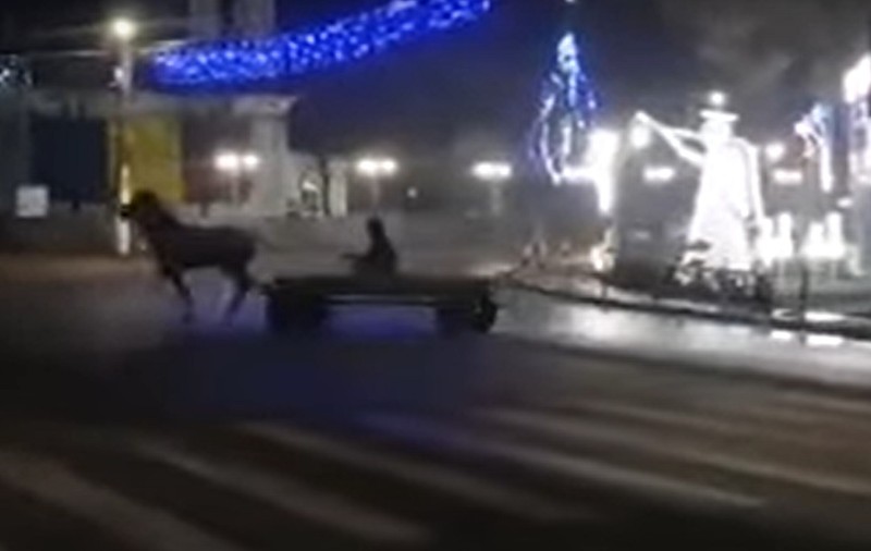 VIDEO | Drifturi cu căruța în mijlocul orașului Ștefănești, în Botoșani. Amenda primită de căruțaș