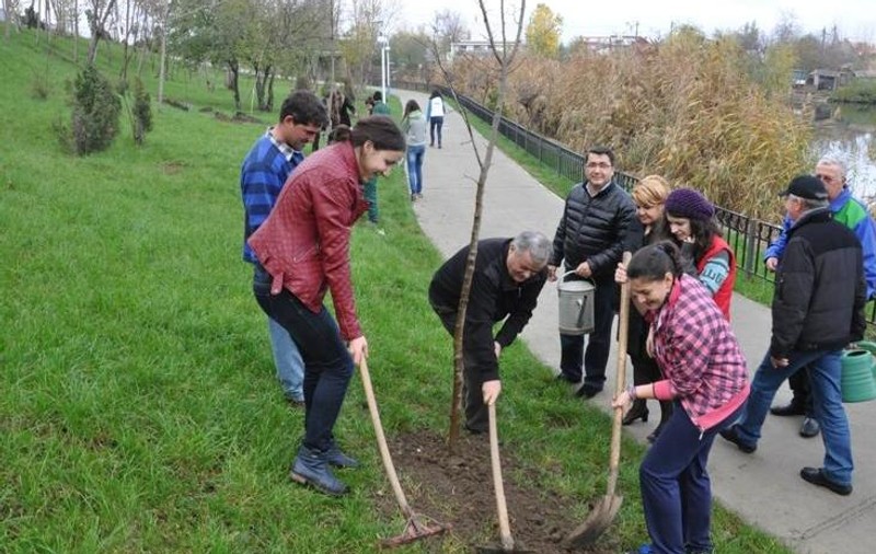 Primarul sectorului 2 a plantat peste 500 de copaci într-un parc din sectorul 2