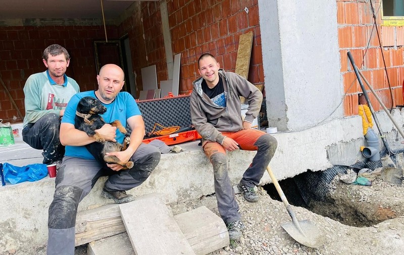 Un cățel blocat într-o vizuină de vulpe, sub fundația unei case din Cluj, salvat după 8 ore, cu ajutorul unui câine antrenat să caute victime la cutremure