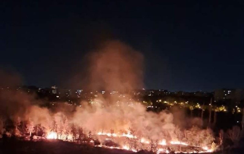 20 de incendii în ultimii doi ani în partea retrocedată a Parcului IOR, spune viceprimarul sectorului 3. „Mână criminală”