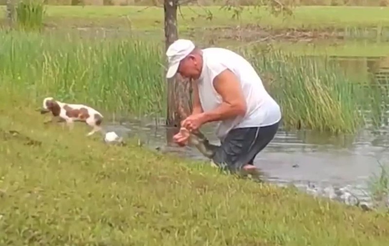 VIDEO | Un bărbat din Florida a reușit să își salveze cățelul din gura unui aligator