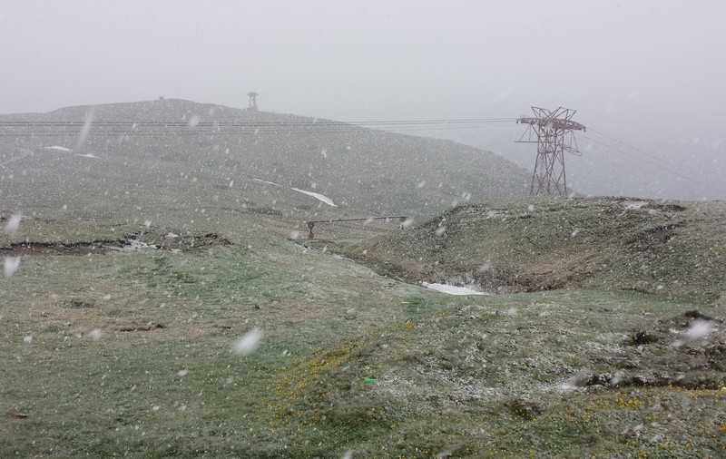 În plină vară, la munte NINGE ca-n poveşti! | FOTO
