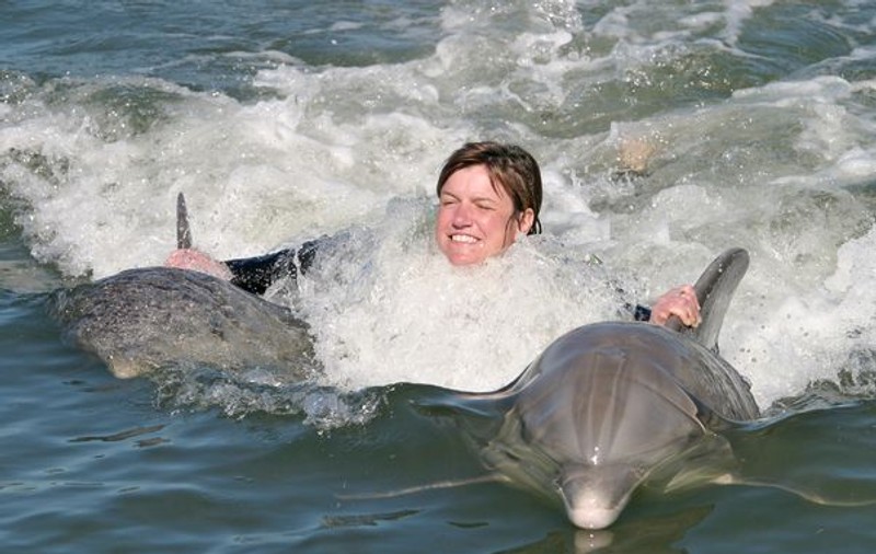 ”Adoptă un delfin”, campanie desfășuartă în Eforie Nord și Vama Veche