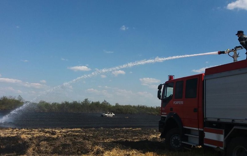Incendiile de vegetație fac ravagii în Timiș. O mașină și mai multe hectare de teren, făcute scrum