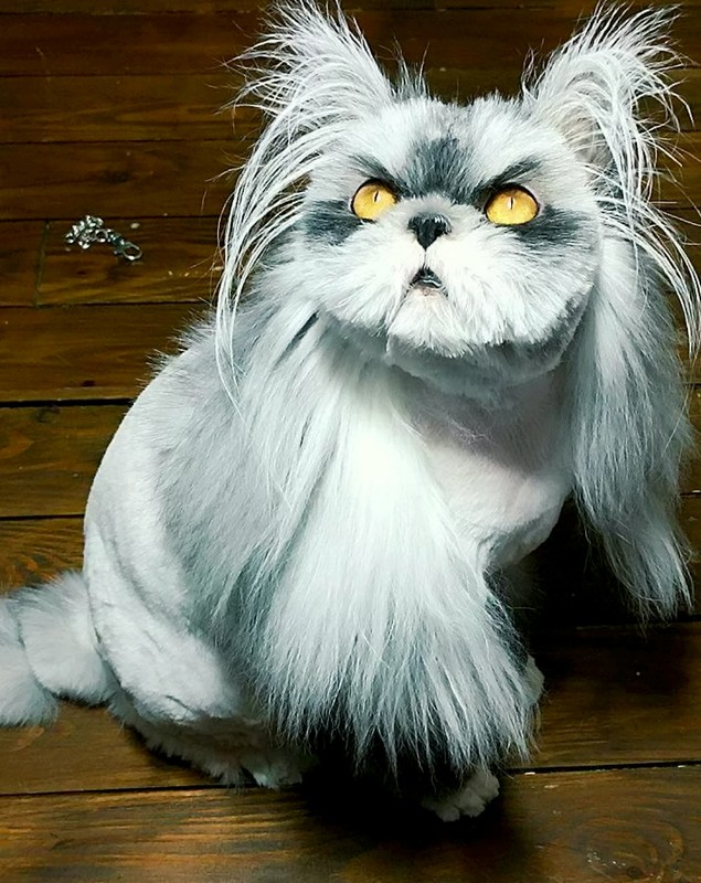 Pisică sau cățel? Ce crezi că este animalul din imagine | FOTO