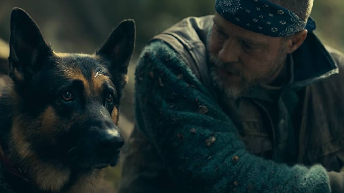 Brad Pitt și Odin
