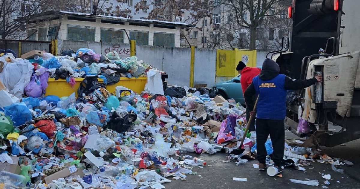 Mormane de gunoaie in Ploiești