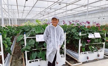 Jack Ma, fondatorul Alibaba