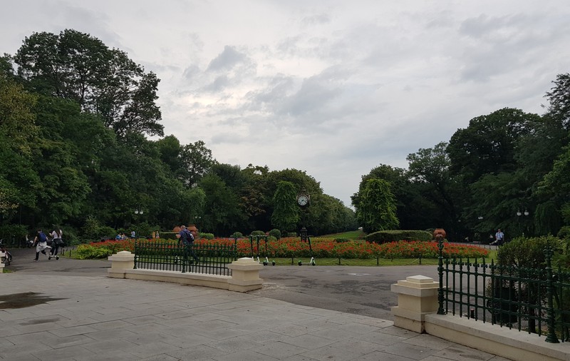 Cișmigiul, defrișat și asfaltat! Primăria Capitalei spune că restaurează parcul istoric, dar pune gherete noi și amenajează o alee pietruită pe mijlocul peluzei principale