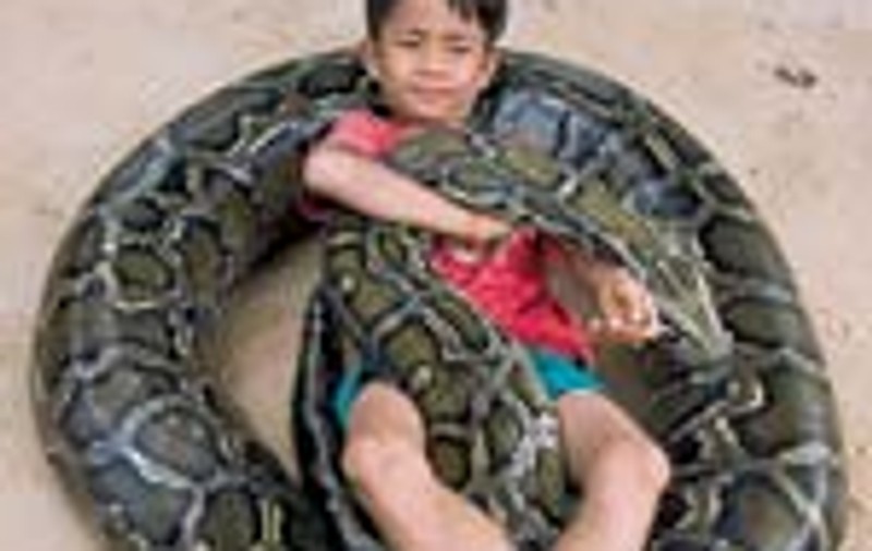La 6 ani doarme cu un piton de 6 metri