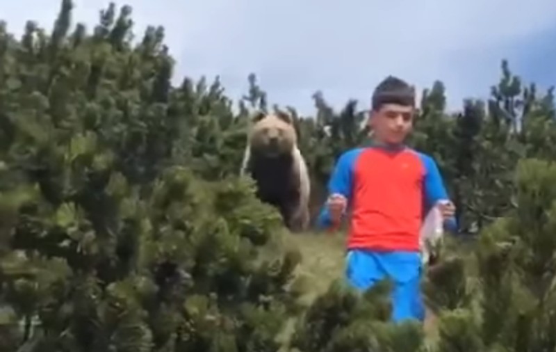 VIDEO | Un puști de 12 ani din Italia a scăpat cu viață după ce a fost urmărit de un urs. ”Nu m-am uitat în ochii lui”