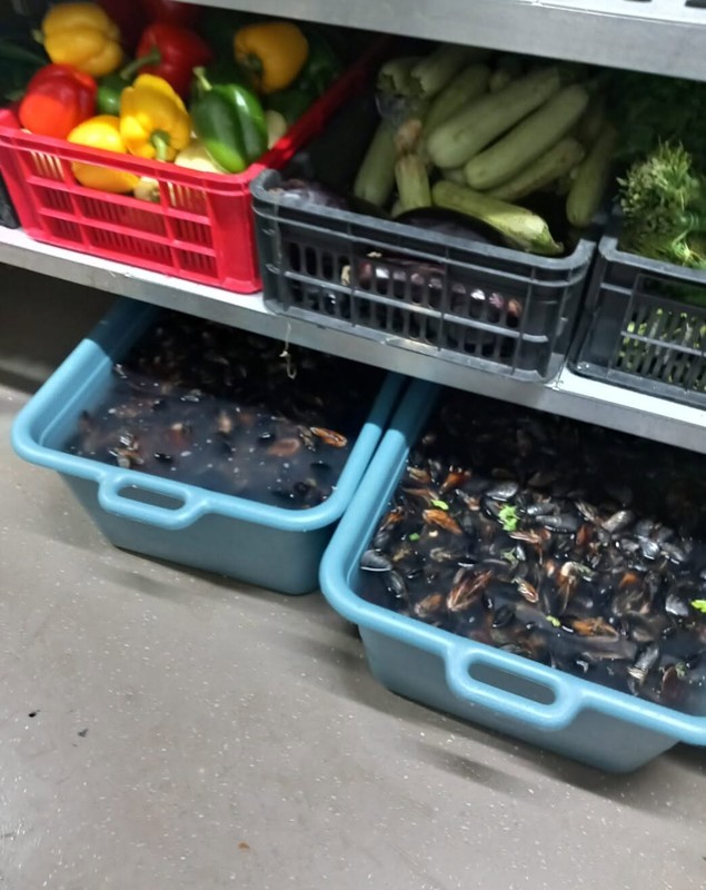 Amendă de 10.000 de lei și 94 kg de alimente retrase de la restaurantul Golful Pescarilor, de lângă Constanța. De ce au închis inspectorii localul | VIDEO