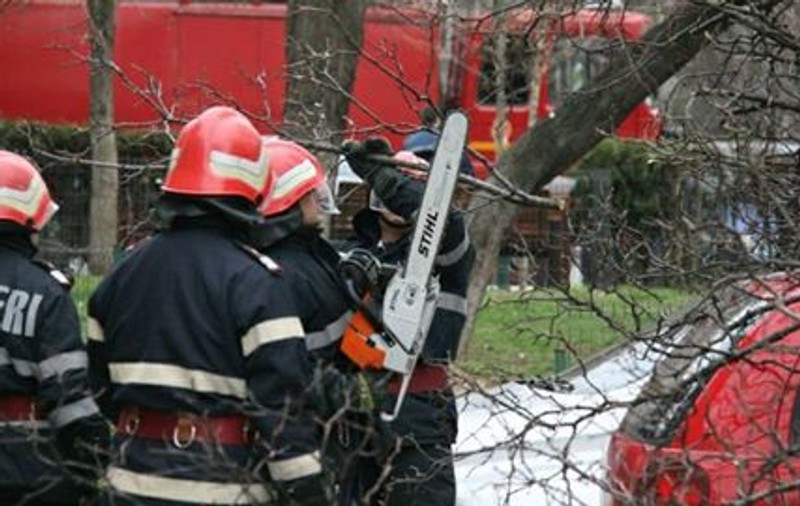 UPDATE: Furtună în Capitală și în județul Ilfov: 33 copaci doborâți din cauza vijeliei, cabluri electrice rupte și tencuială căzută