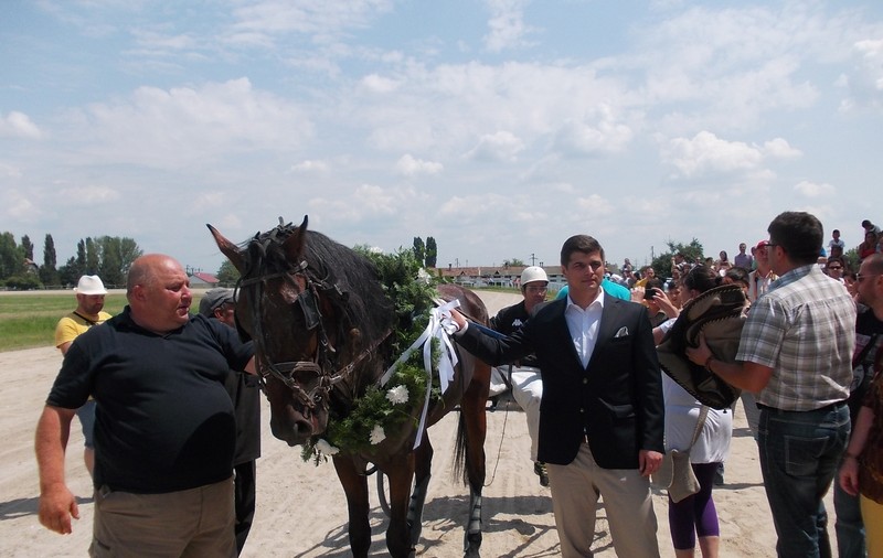 FOTO / Murgul Darius a câștigat ultimul derby de trap de la Ploiești. ^Hipodromul va fi reconstruit