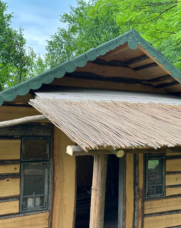Cabana din pădure a Mihaelei Bilic e aproape gata. Ce modificări a făcut: „Ca să nu o mai bată soarele și ploaia, prispa mea a primit un cozoroc”