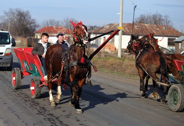 Fotografii de Dumitru Angelescu