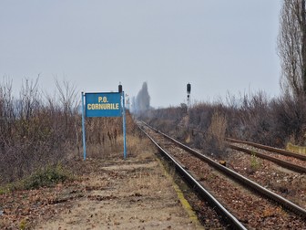 Arhiva foto
