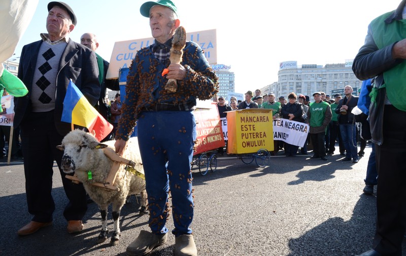 Și fermierii susțin echipa națională. 300 de agricultori români, în tribune la CE 2016