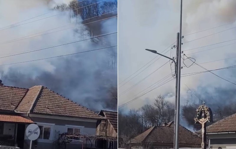 Un bărbat din Cluj a vrut să-și ardă gunoiul și era cât pe ce să incendieze o pădure: „Ne arde Așchileu!” | VIDEO