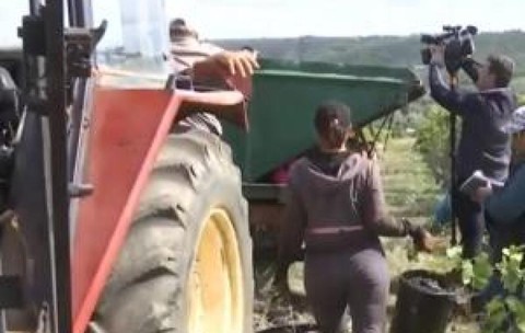 Judeţul care caută sute de zilieri, dar puţini vor să muncească. Se pot câştiga şi 400 de lei pe zi