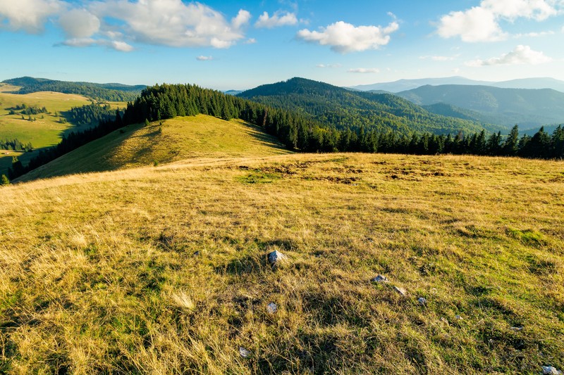 Parcul Natural Apuseni - priveliște