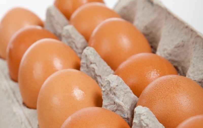 Produse de origine animală folosite în cosmetică