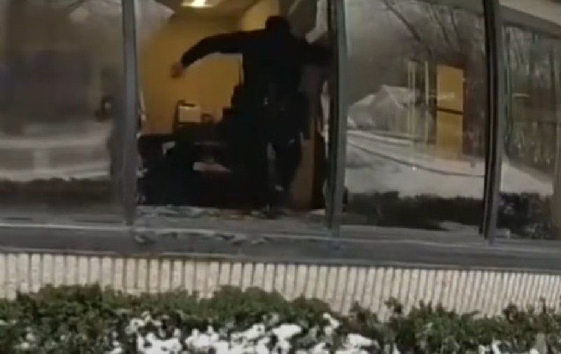 Un cerb a declanșat alarma de jaf la o bancă din New York și a mobilizat mai mulți agenți. Unde a fost găsit animalul | VIDEO