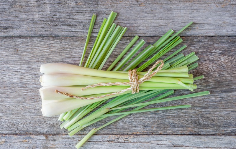 Lemongrass - beneficii și utilizări. Rețete cu lemongrass