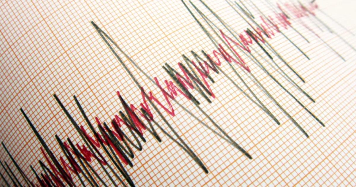Imaginea arată înregistrarea unui seism pe hârtie milimetrică, cu linii neregulate și bruște, specifice undelor seismice.