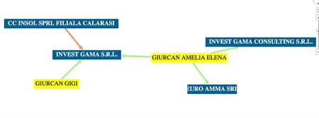 Firmele în care apare ca acționară Amelia Giurcan | Sursa: termene.ro