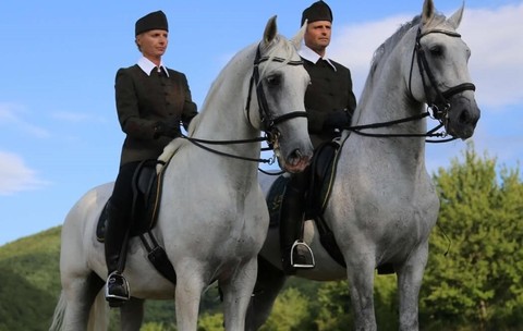 Regele Charles a primit doi cai cadou din Ungaria, dar la Budapesta a izbucnit un scandal diplomatic după ce i s-a cerut să-i înapoieze. Sursă foto: szilvásváradz.hu.