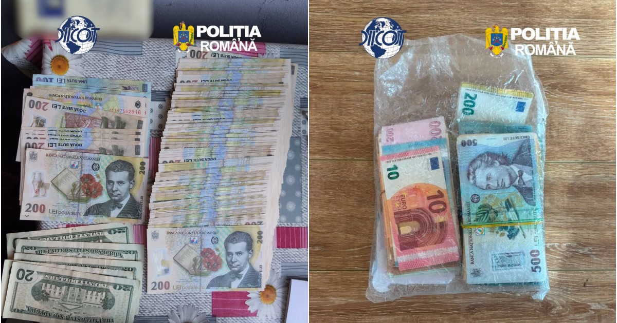Bancnote lei și euro