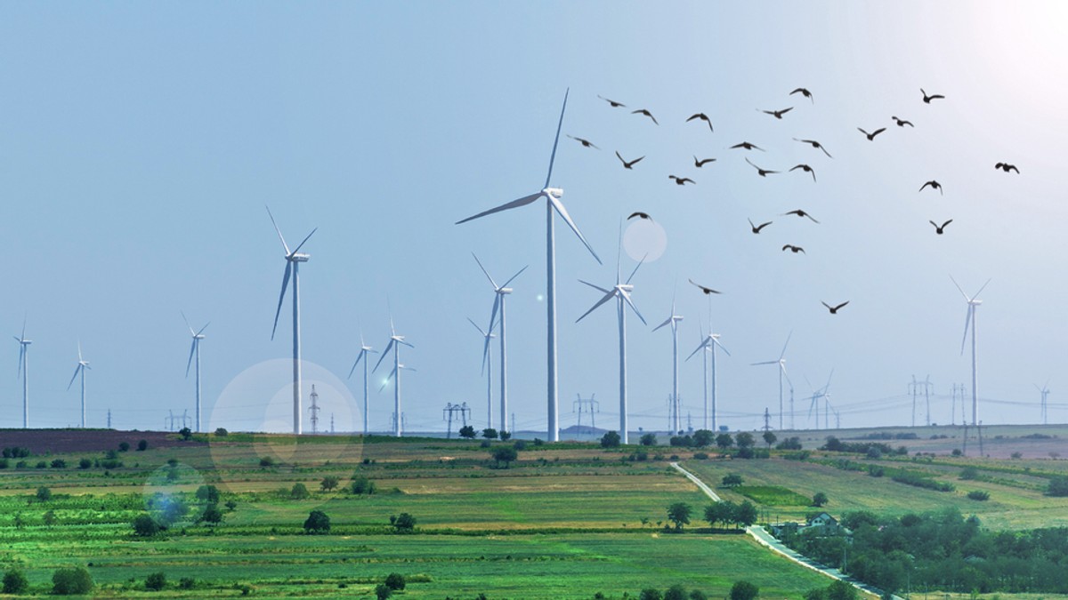 Ce este energia eoliană
