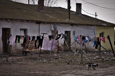 Arhiva foto