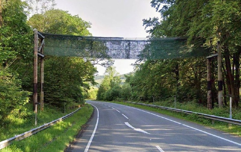 Galezii au făcut pod pentru lilieci pe autostradă, cu 8 milioane de euro: „Se evită accidentele”