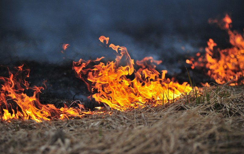 Incendiu în Toplița, județul Harghita. Aproximativ 100 de hectare de păşune împădurită ard, iar oamenii sting focul cu măturoaie şi lopeţi. Drumul e impracticabil