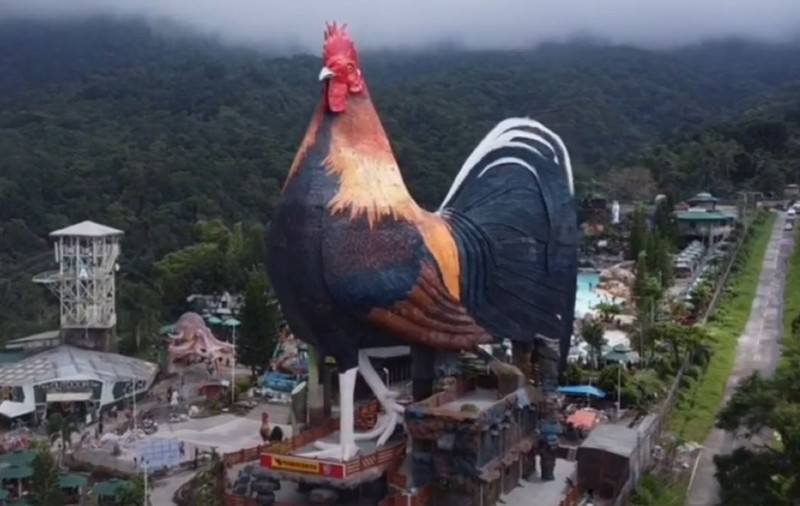 Un hotel în formă de cocoș uriaș construit în Filipine a fost inclus în Cartea Recordurilor | VIDEO
