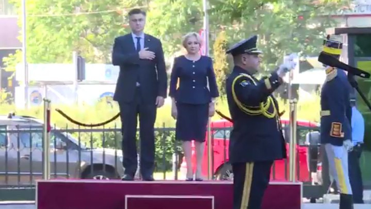 Viorica Dancila, Palatul Victoria