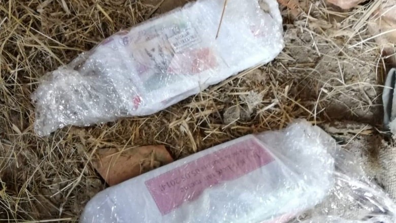 Banii găsiți de polițiști | Foto: Poliția Română