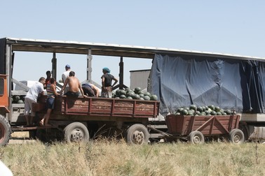 Arhiva foto