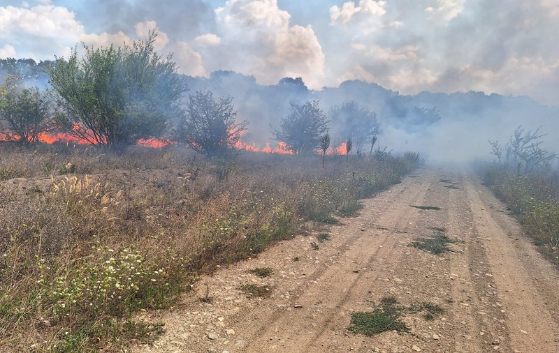 Incendiu masiv lângă Pădurea Băneasa. Sunt afectate 30 de hectare