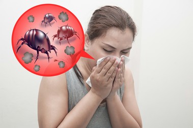 Alergia la acarienii de praf