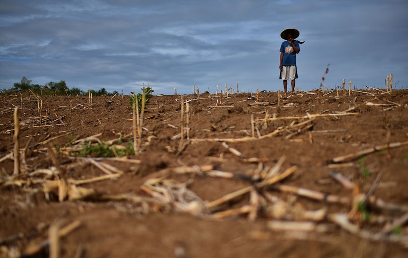 Fenomenul El Niño este inevitabil în 2026, anunță meteorologii: „Va agrava seceta şi ploile şi va creşte riscul de valuri de căldură”
