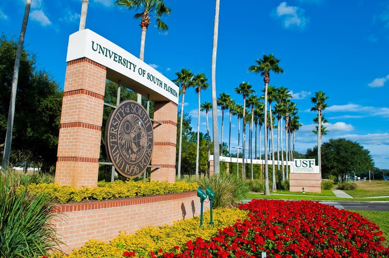 Fondată în 1956, Universitatea din Florida de Sud este cea de-a unsprezecea universitate publică din SUA ca dimensiune