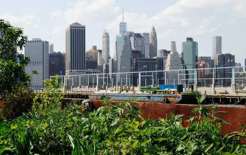 86 de orașe americane vor să adere la Acordul de la Paris pentru Climă. Printre ele New York, Los Angeles, Chicago și Pittsburgh