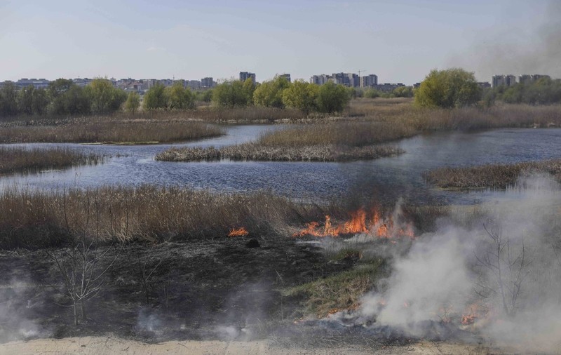 Incendiul din Delta Văcărești, stins după două ore. Ce suprafață a fost afectată